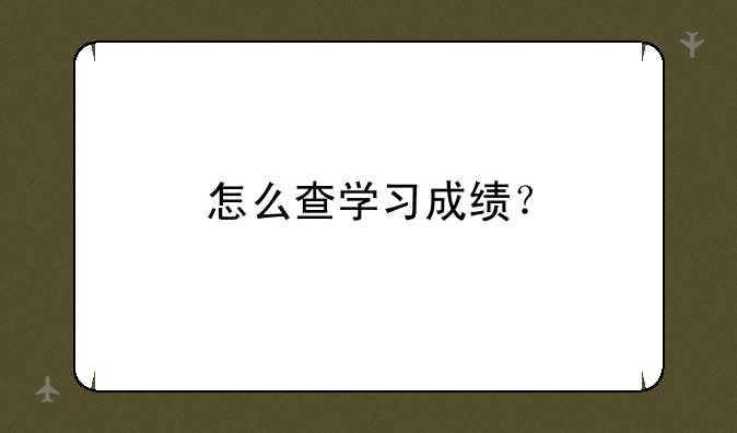 怎么查学习成绩？