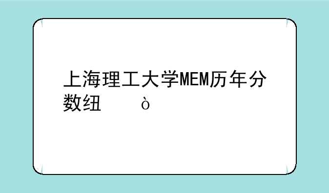 上海理工大学MEM历年分数线？