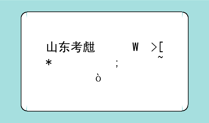 山东考生录取状态怎样查询？