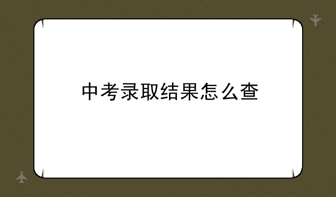中考录取结果怎么查
