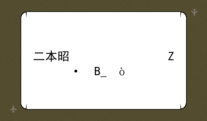二本是大学文凭吗？