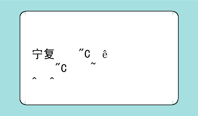 宁夏成人自考成绩查询时间