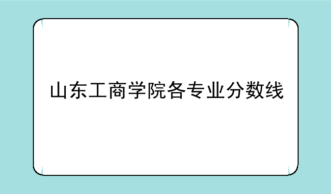 山东工商学院各专业分数线