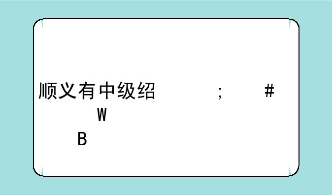 顺义有中级经济师考试点吗