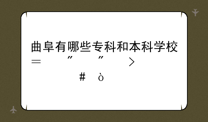 曲阜有哪些专科和本科学校？分别叫什么？