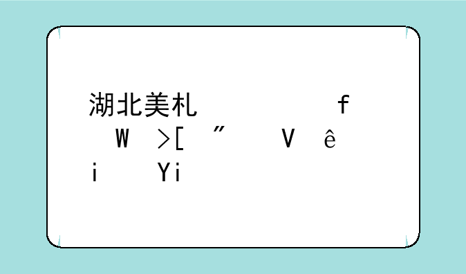 湖北美术学院录取分数线是多少？