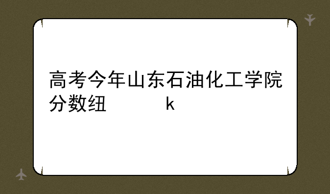 高考今年山东石油化工学院分数线多少