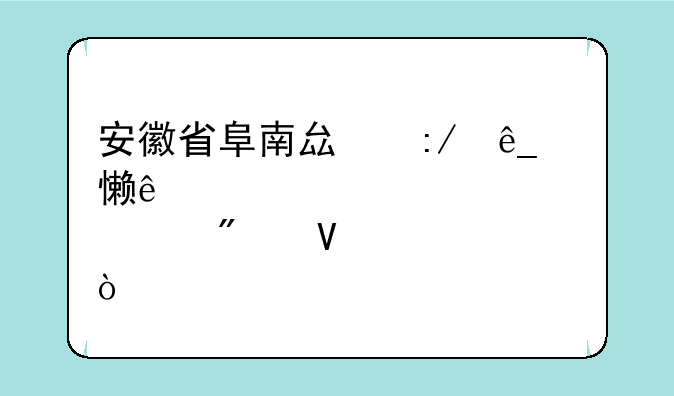 安徽省阜南县王店乡亲情学校中考分数公布？