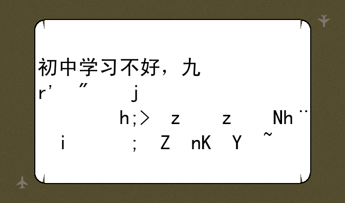 初中学习不好，也没有别的出路，想问问IT技术能学会吗？