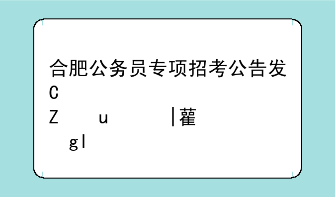 合肥公务员专项招考公告发布;合肥公务员专项招考公告发布在哪里