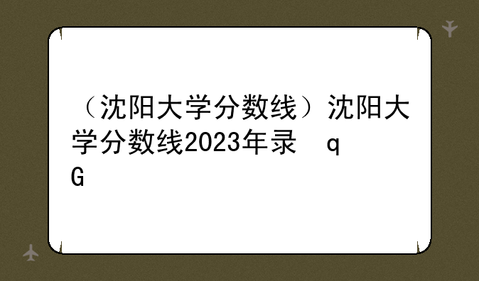（沈阳大学分数线）沈阳大学分数线2023年录取线